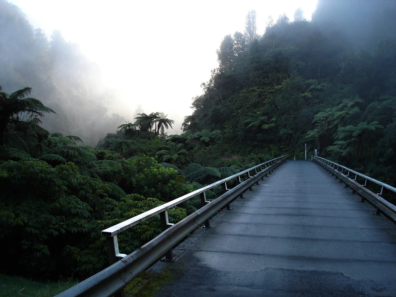 The Forgotten World Highway, New Zealand